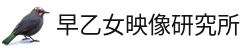 早乙女映像研究所